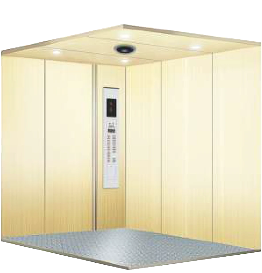 Goods Lift Cabin Standard Finishing